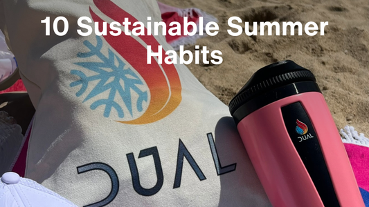 10 Easy Sustainable Habits You Can Easily Add to Your Routine