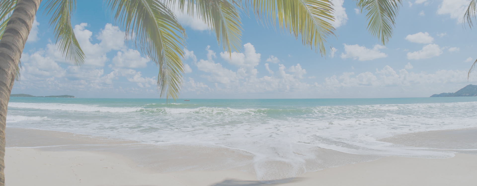Tropical beach scene with palm trees and waves under a bright blue sky—capturing the carefree, coastal lifestyle behind Dual Drinks.